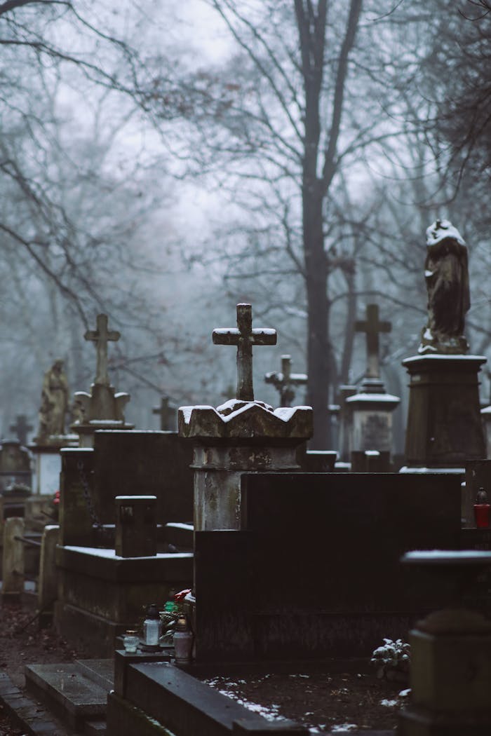 Mysterious winter cemetery scene with crosses and tombstones surrounded by bare trees.