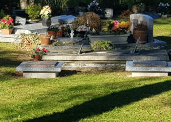 cavurnes en béton Stradal Funéraire installées lors d'une reprise de concession - cimetière paysager